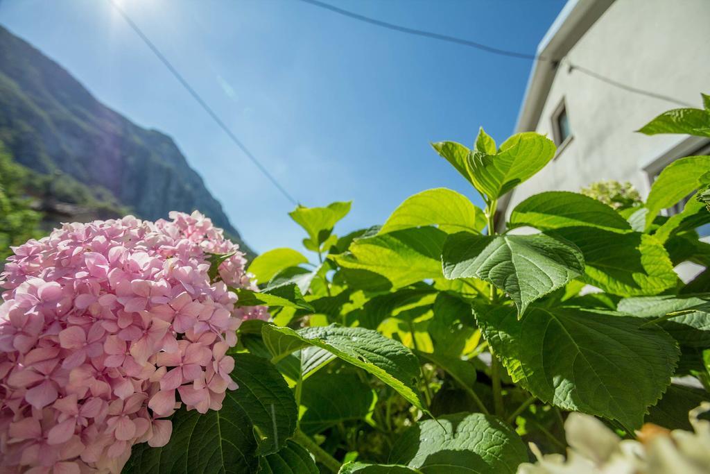 Farm Stay Ferjancic Vipava Luaran gambar